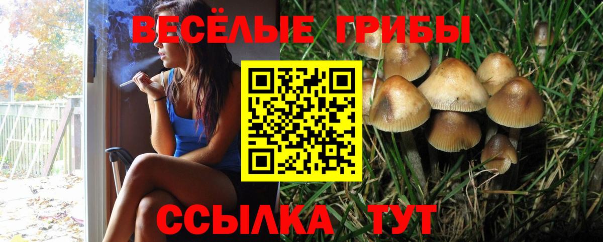Галлюциногенные грибы ЛСД  Вход с VPN  купить закладку  Приморско-Ахтарск 